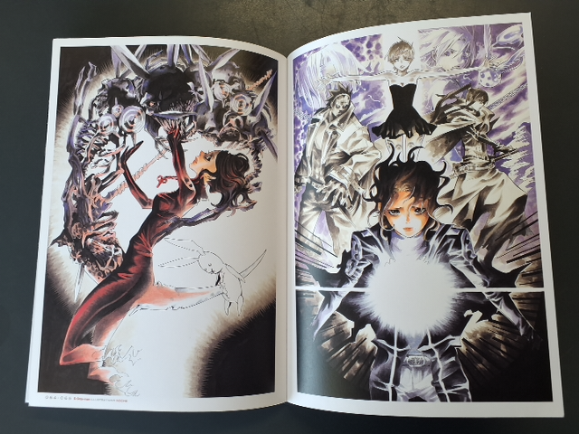 D. Gray man illustrations